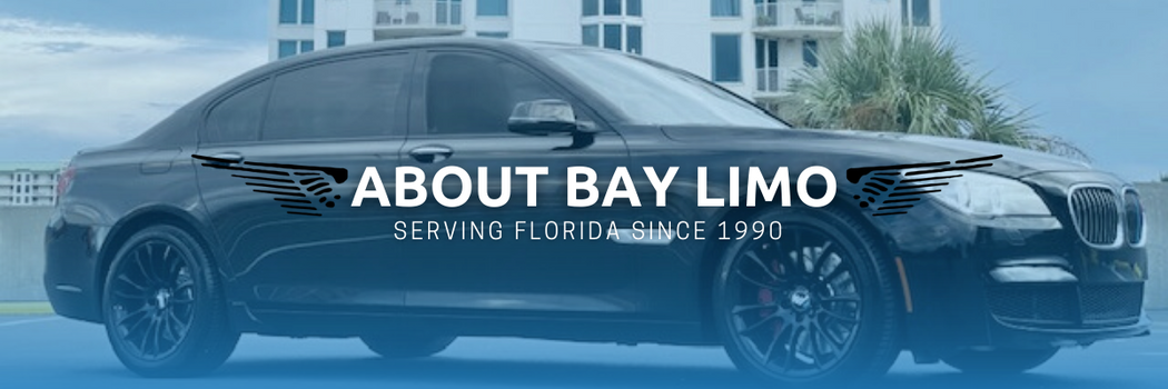 About Bay Limo Services